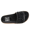 Emelia B2311