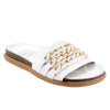 Emelia B2311