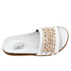 Emelia B2311